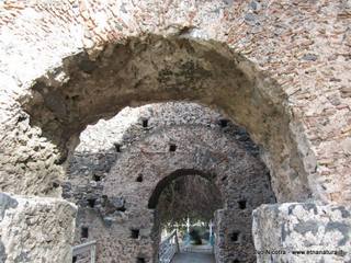 nastero Benedettini-16-03-2014 12-25-14